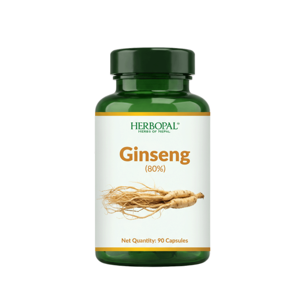 Red Ginseng (80% Ginsenosides)